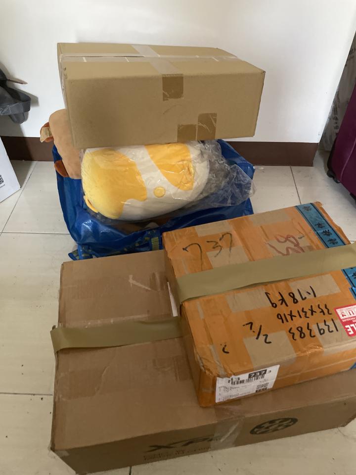 大型垃圾回收案件圖片