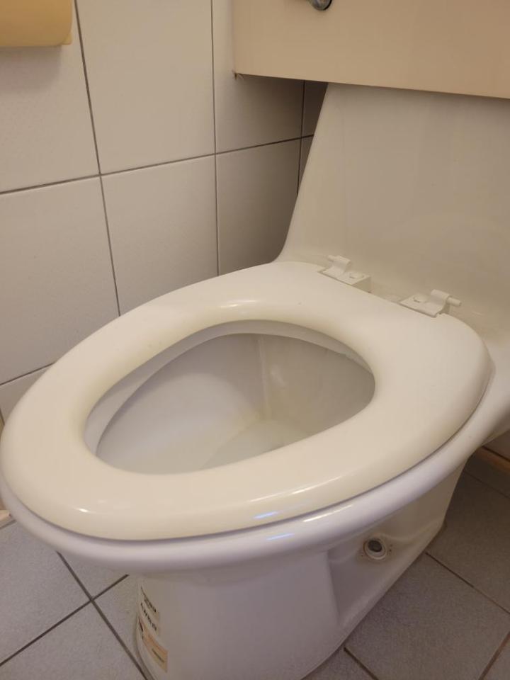 馬桶裝修案件圖片
