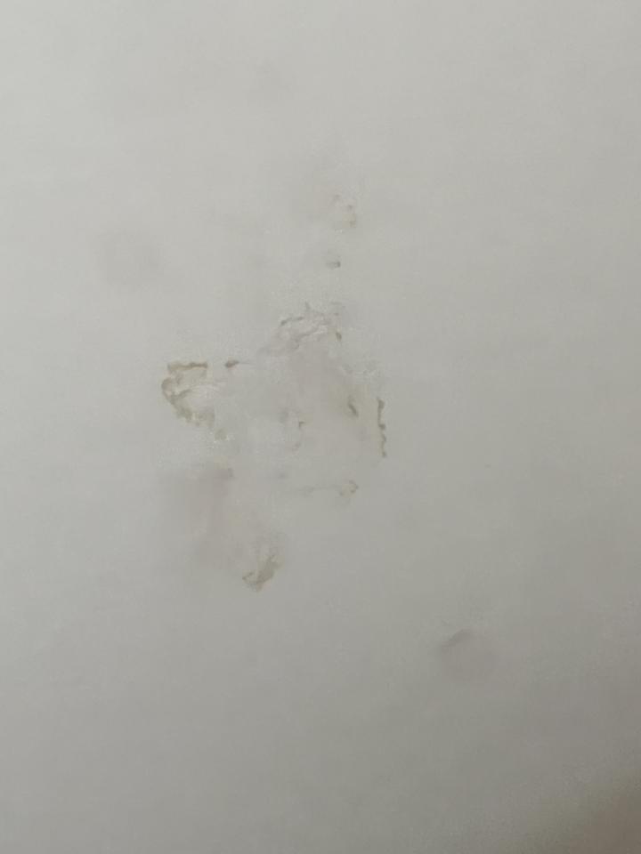抓漏案件圖片