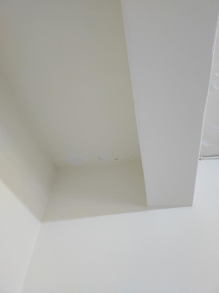 油漆工程案件圖片
