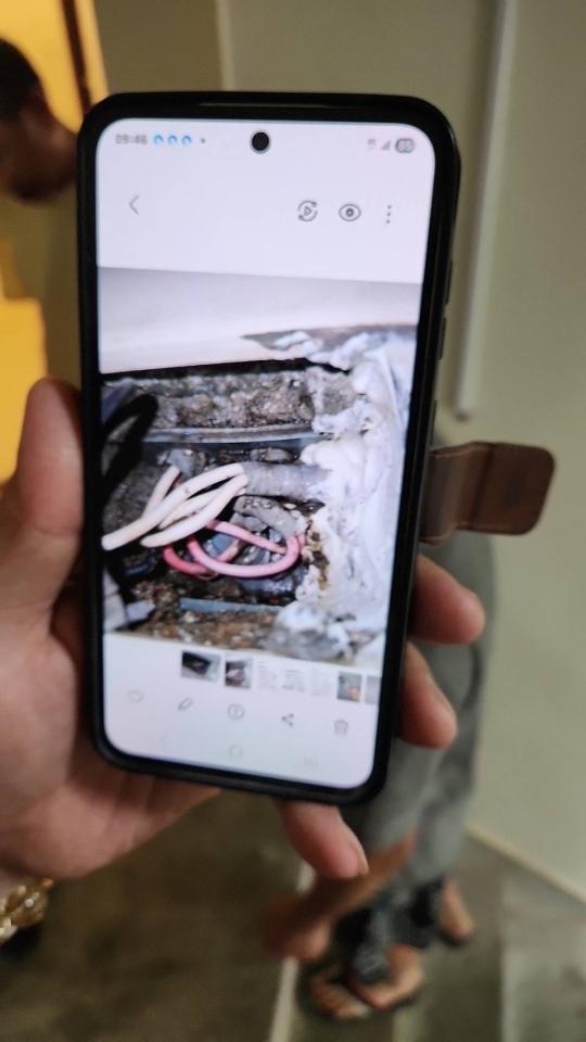 抓漏案件圖片