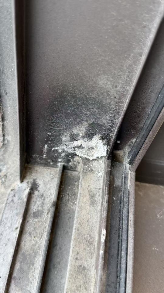 矽利康工程案件圖片