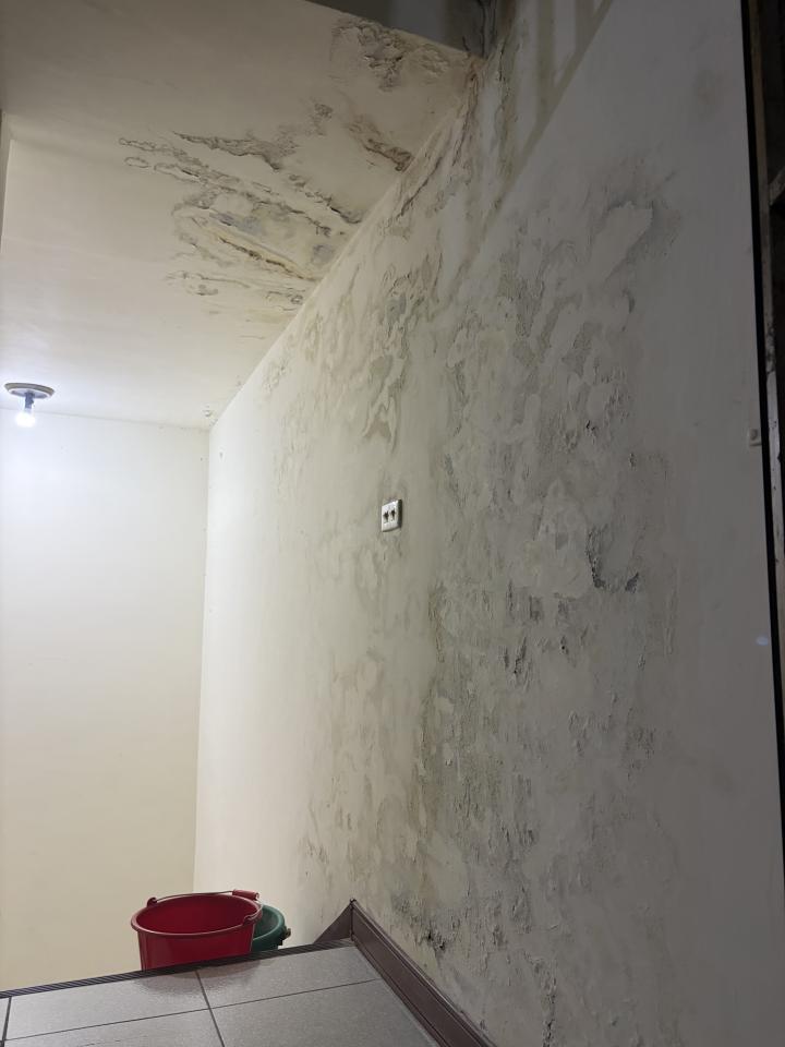 抓漏案件圖片