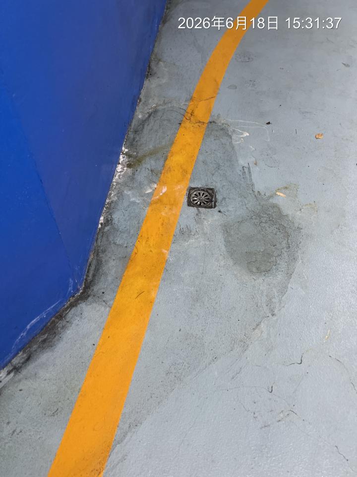 抓漏案件圖片