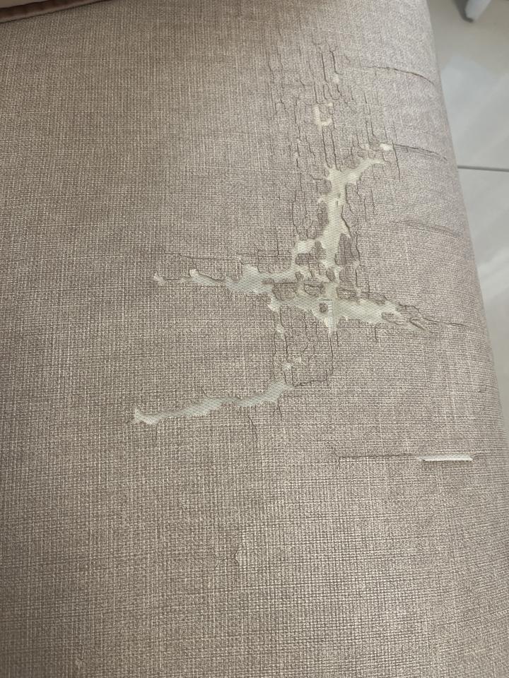 沙發修理案件圖片