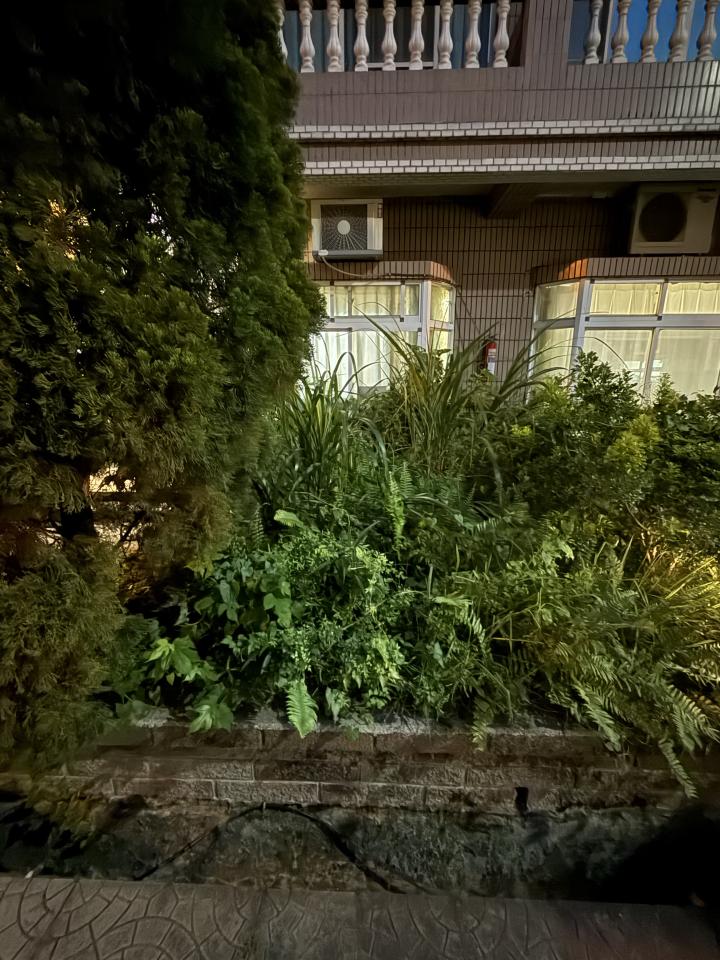 園藝維護案件圖片