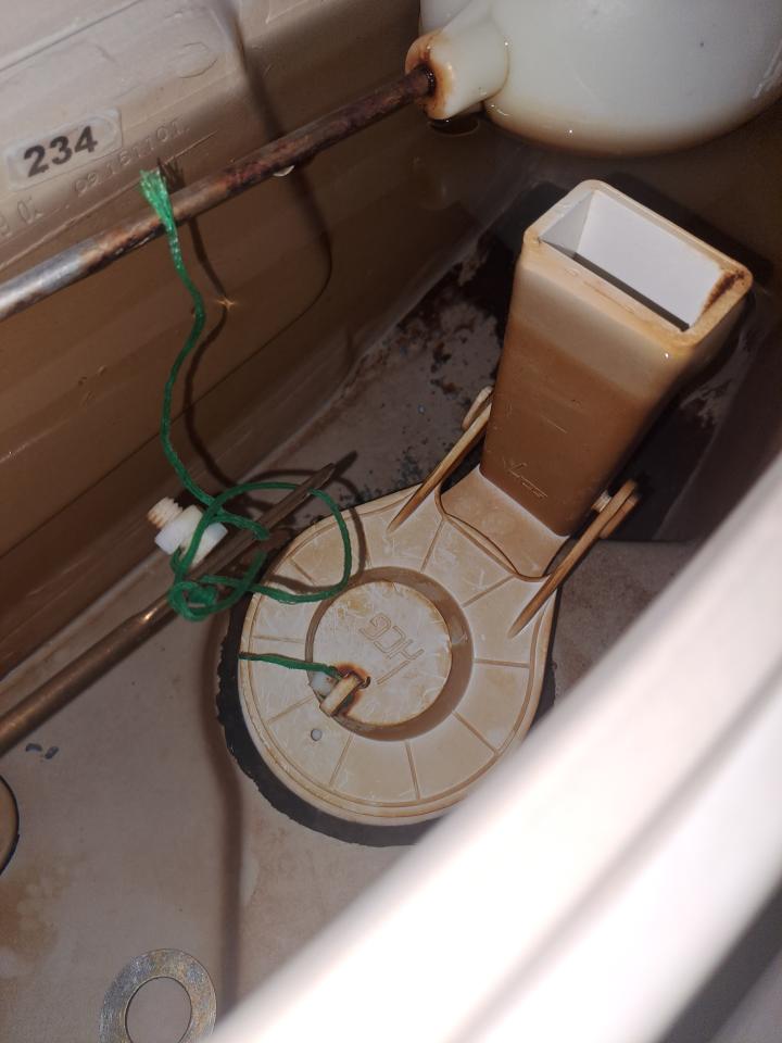 馬桶裝修案件圖片