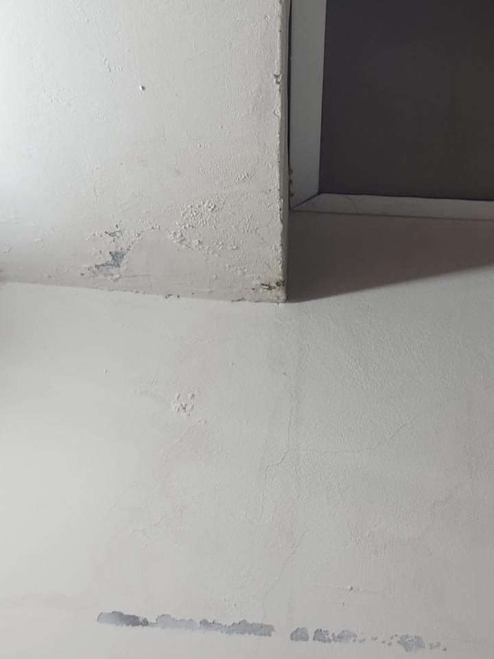 抓漏案件圖片