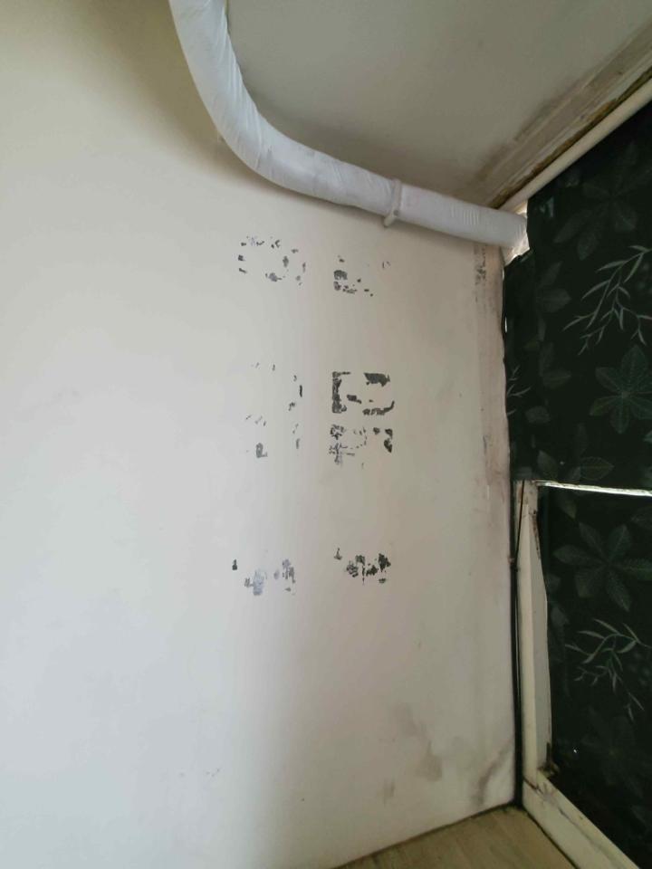 油漆工程案件圖片
