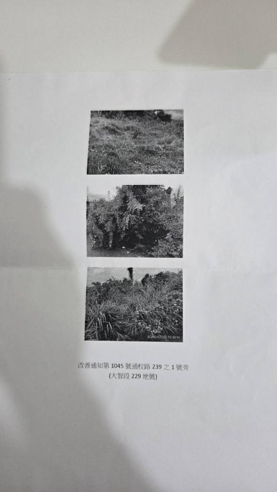 園藝維護案件圖片