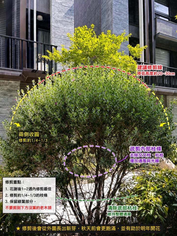 園藝維護案件圖片
