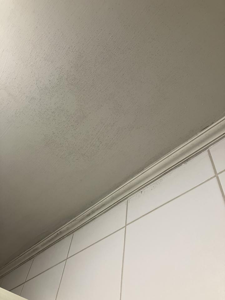 浴室除霉清潔案件圖片