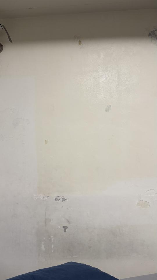 油漆工程案件圖片