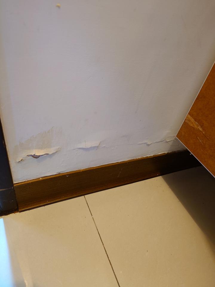 油漆工程案件圖片