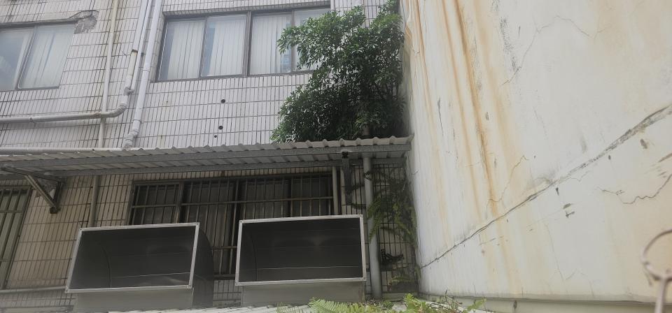 園藝維護案件圖片