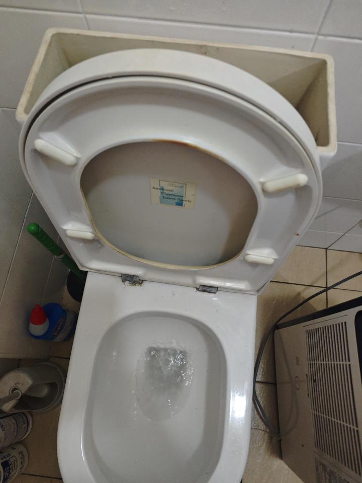馬桶裝修案件圖片