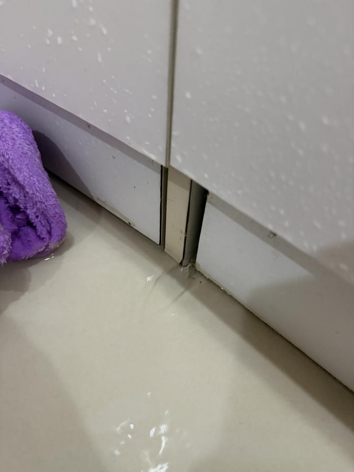 抓漏案件圖片