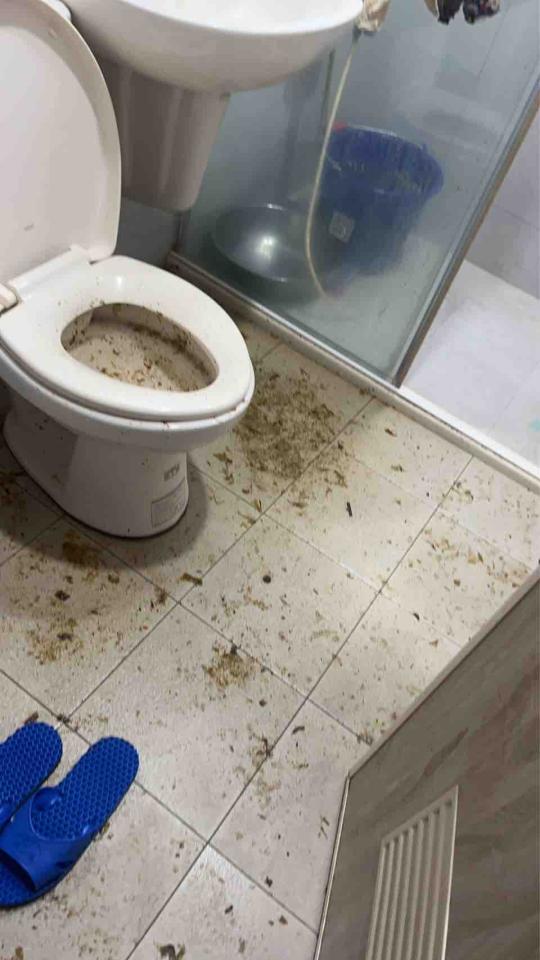 水管維修案件圖片