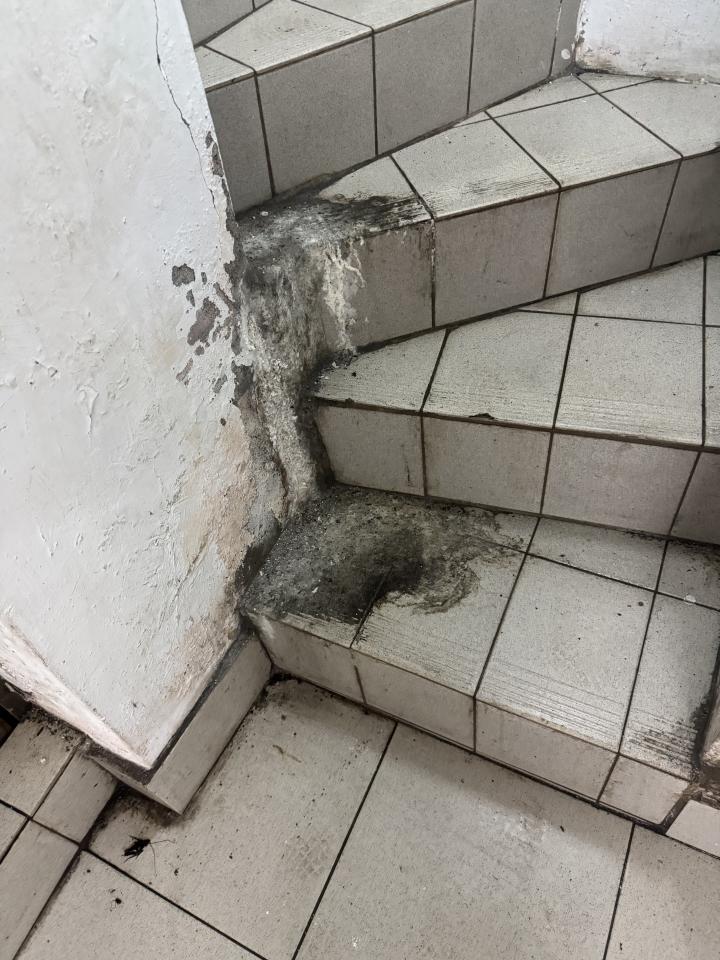 抓漏案件圖片