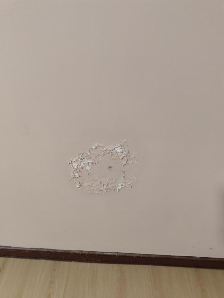 油漆工程案件圖片