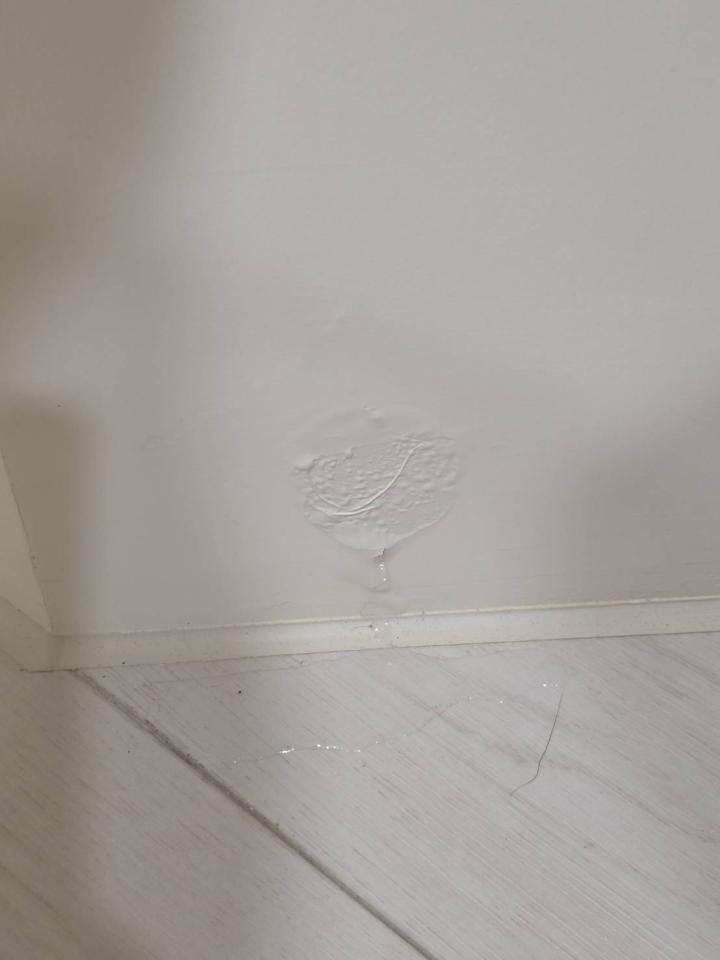 抓漏案件圖片