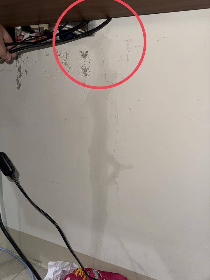 抓漏案件圖片