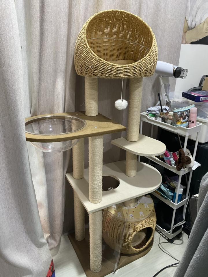 搬家案件圖片