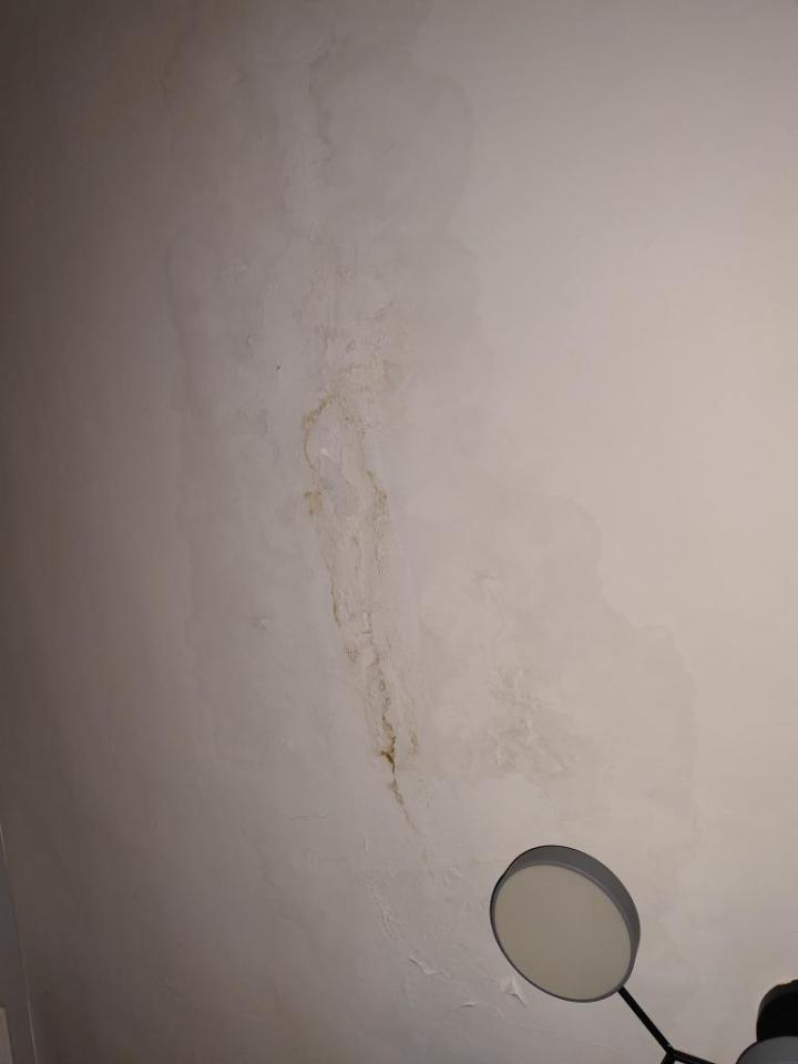 油漆工程案件圖片