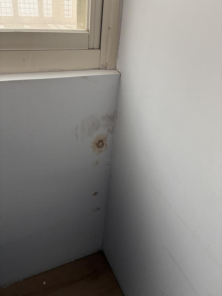 漏水處理案件圖片