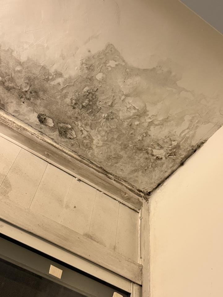 抓漏案件圖片