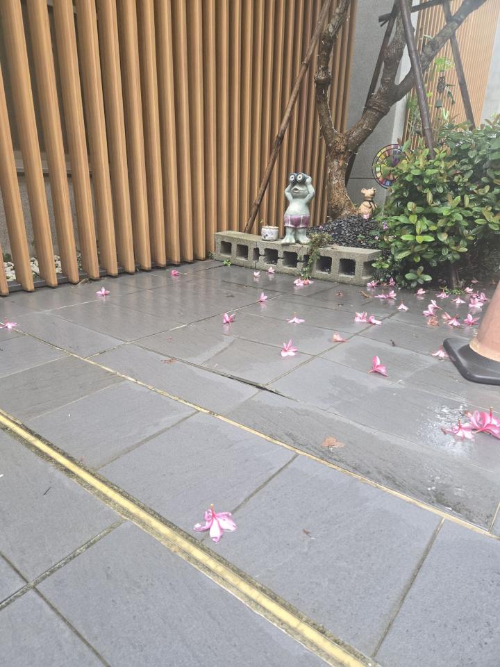 園藝維護案件圖片