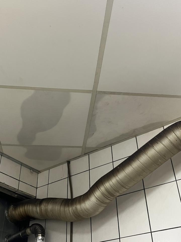 抓漏案件圖片
