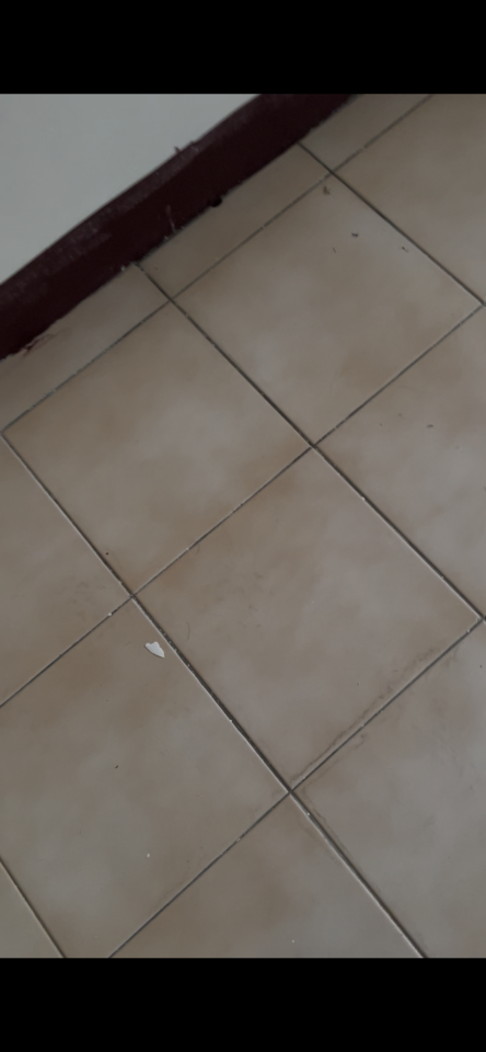 漏水處理案件圖片