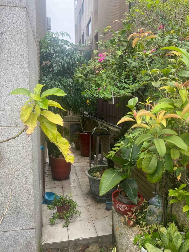 園藝維護案件圖片