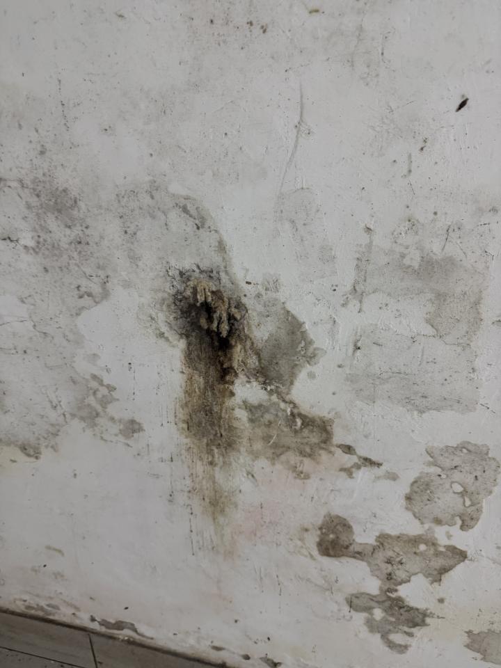 抓漏案件圖片