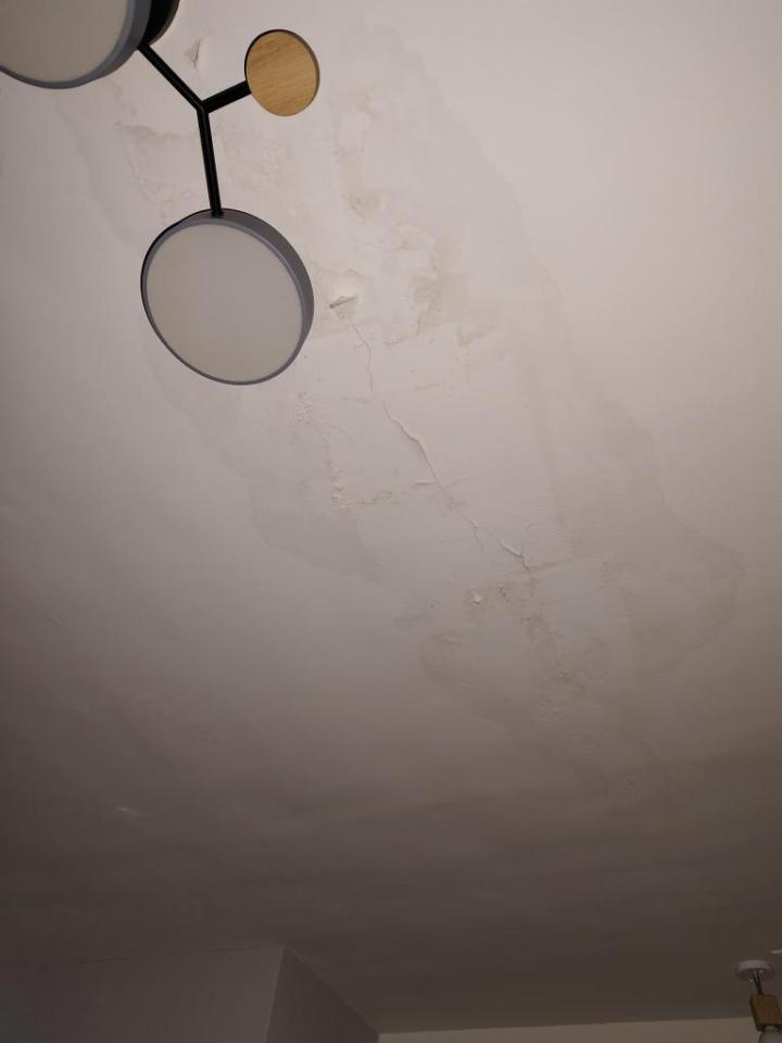 油漆工程案件圖片