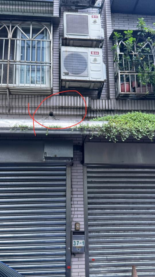 抓漏案件圖片