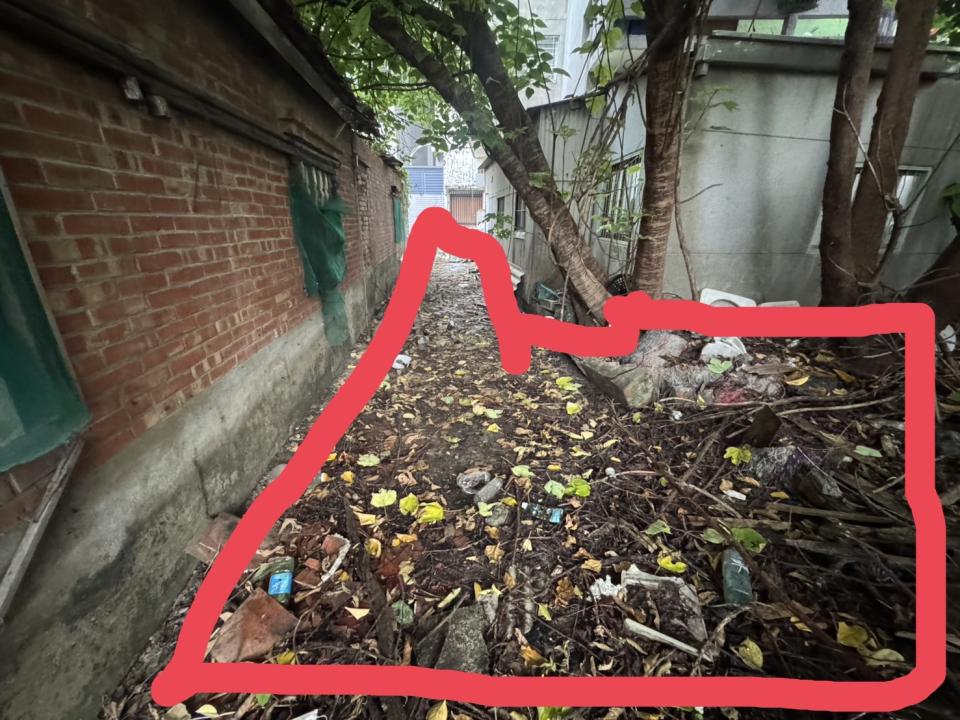 園藝維護案件圖片