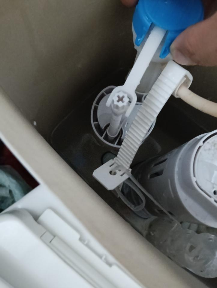 馬桶裝修案件圖片