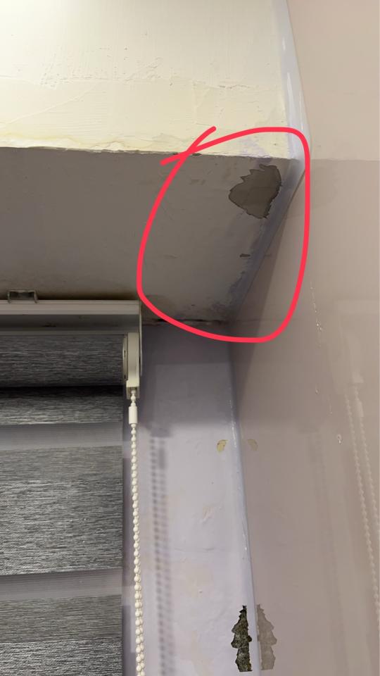 抓漏案件圖片