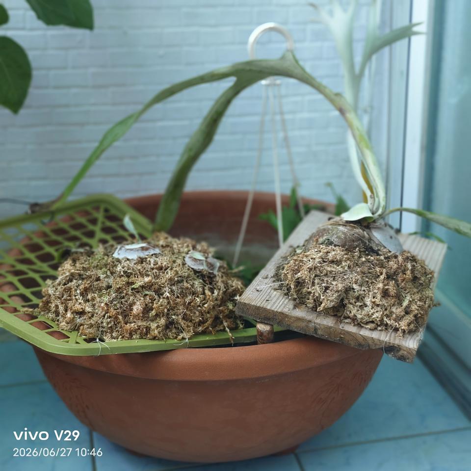 搬家案件圖片