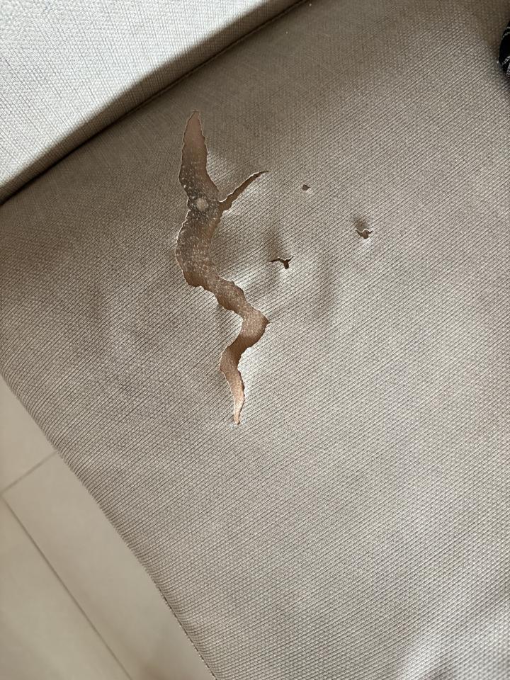 沙發修理案件圖片