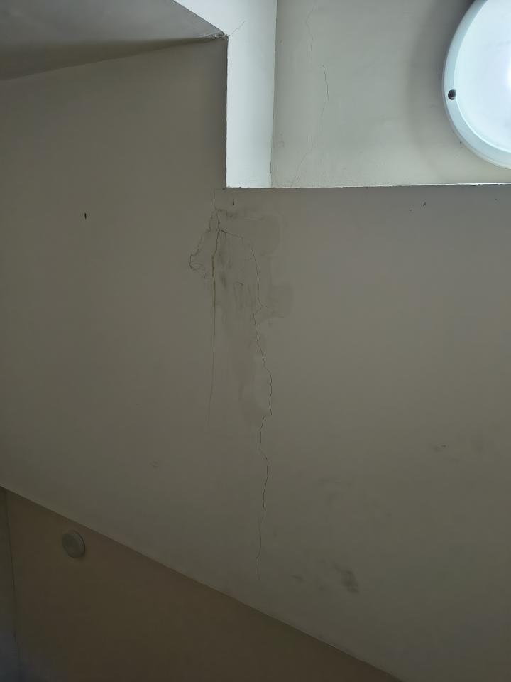 抓漏案件圖片