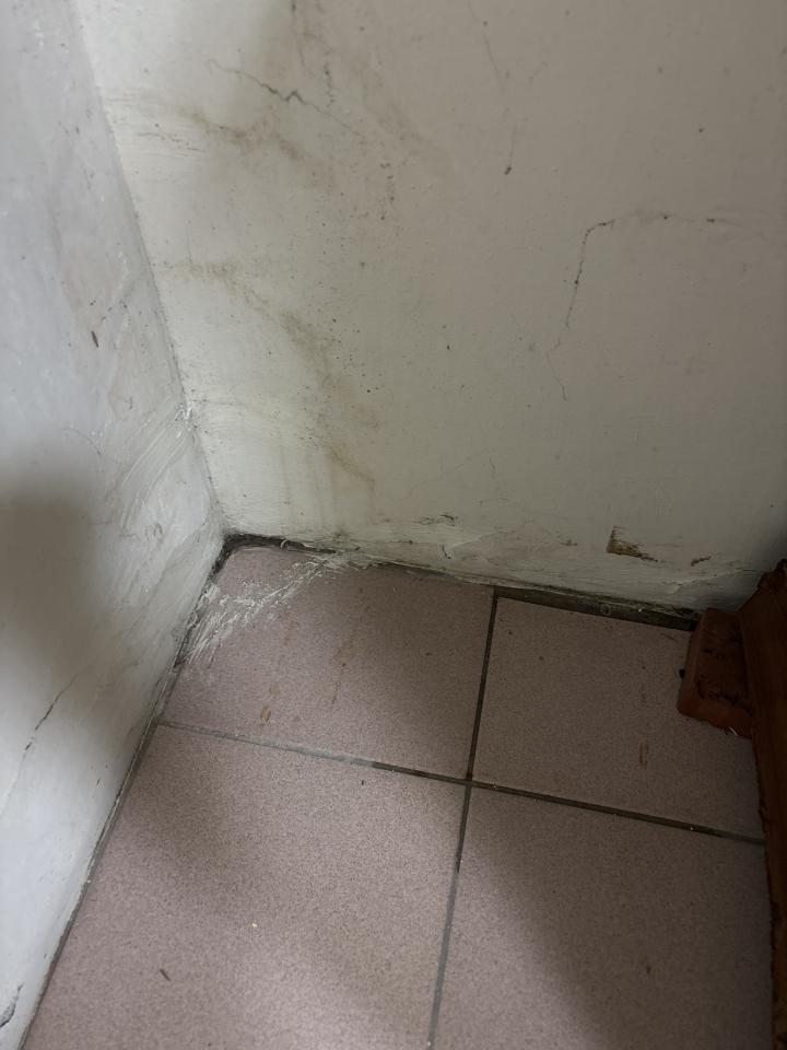 抓漏案件圖片