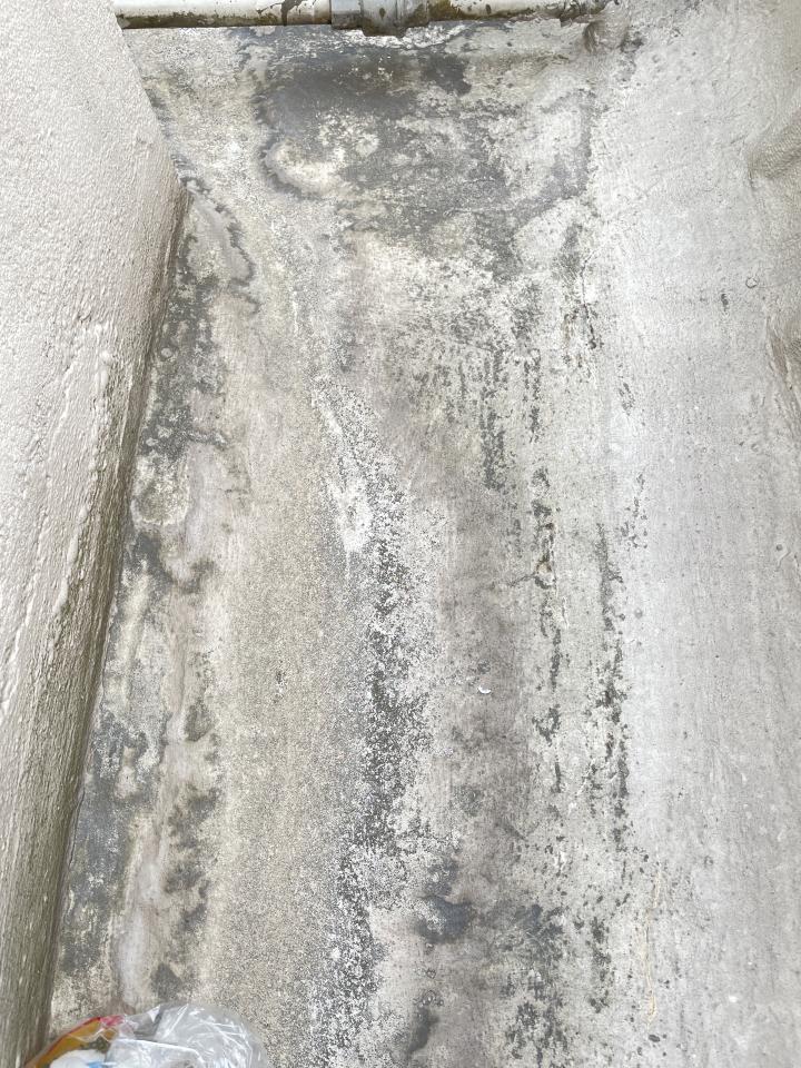 屋頂防水案件圖片