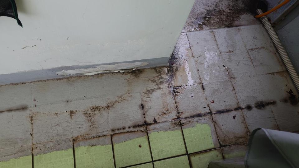 抓漏案件圖片