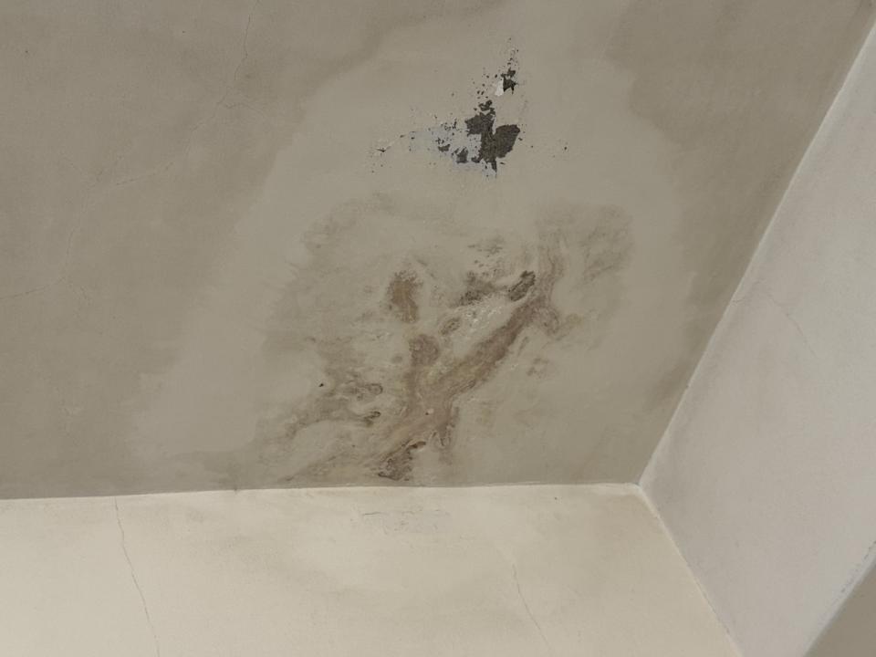 抓漏案件圖片