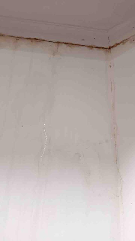 抓漏案件圖片