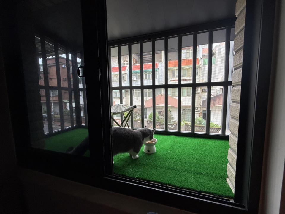 園藝維護案件圖片