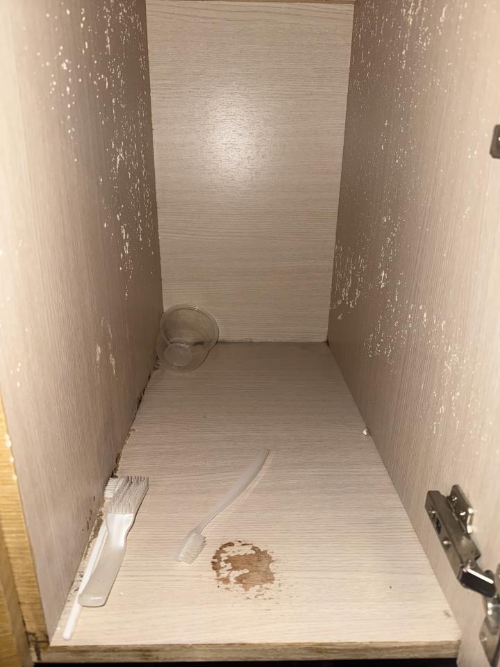 除霉案件圖片